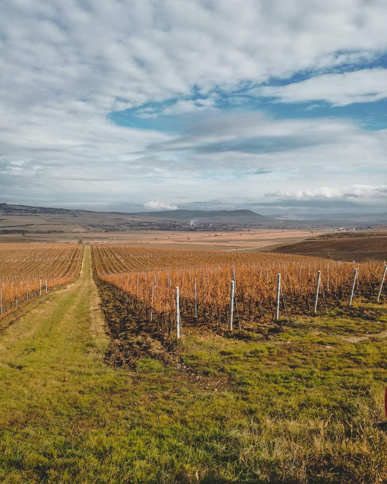 Accommodatie Maison des Vignerons